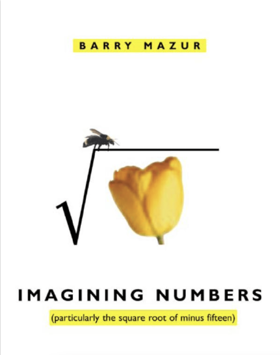 Cover of Imagining Numbers book by Barry Mazur.