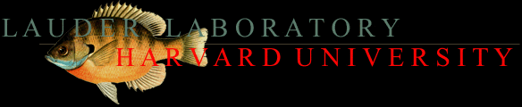 lauder laboratory logo