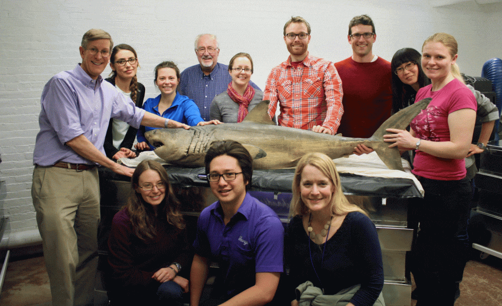 group photo of lab members with shark