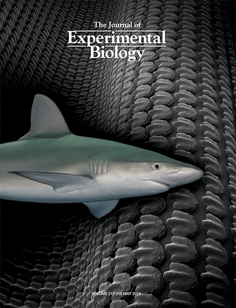 Cover of The Journal of Experimental Biology